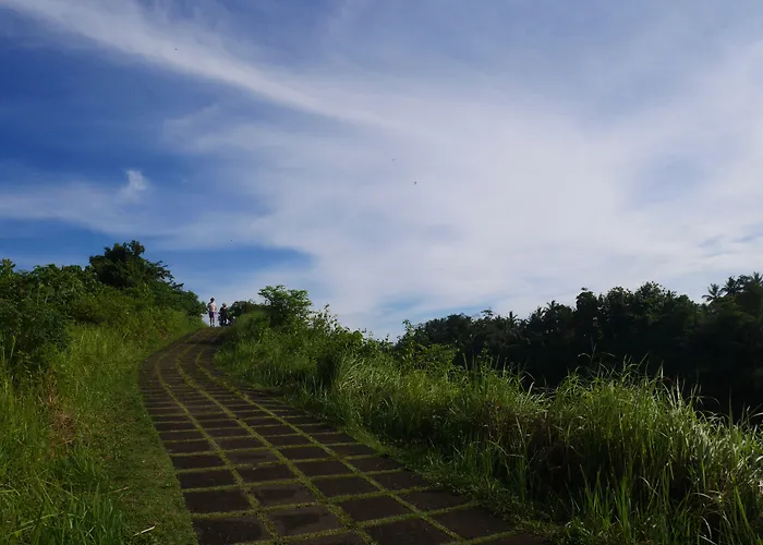 Sari 3* Ubud (Bali)