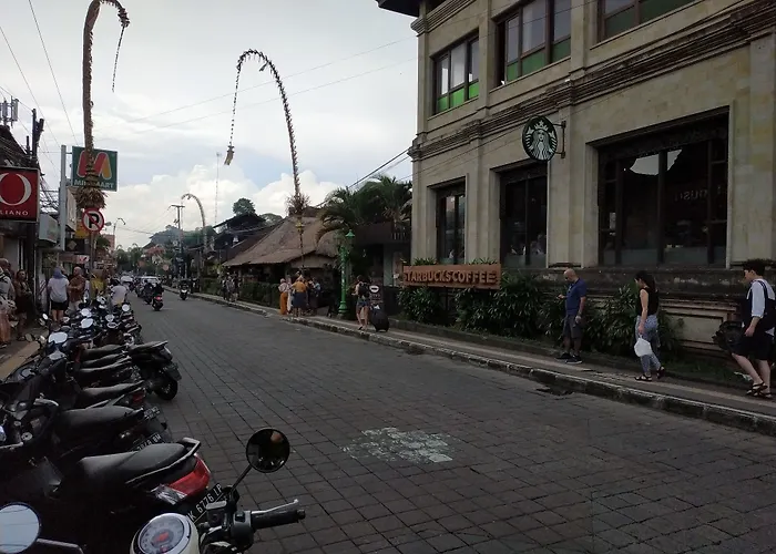 Sari 3*